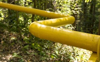 Manfaat Online Leak Sealing / Penyegelan Kebocoran Secara Online